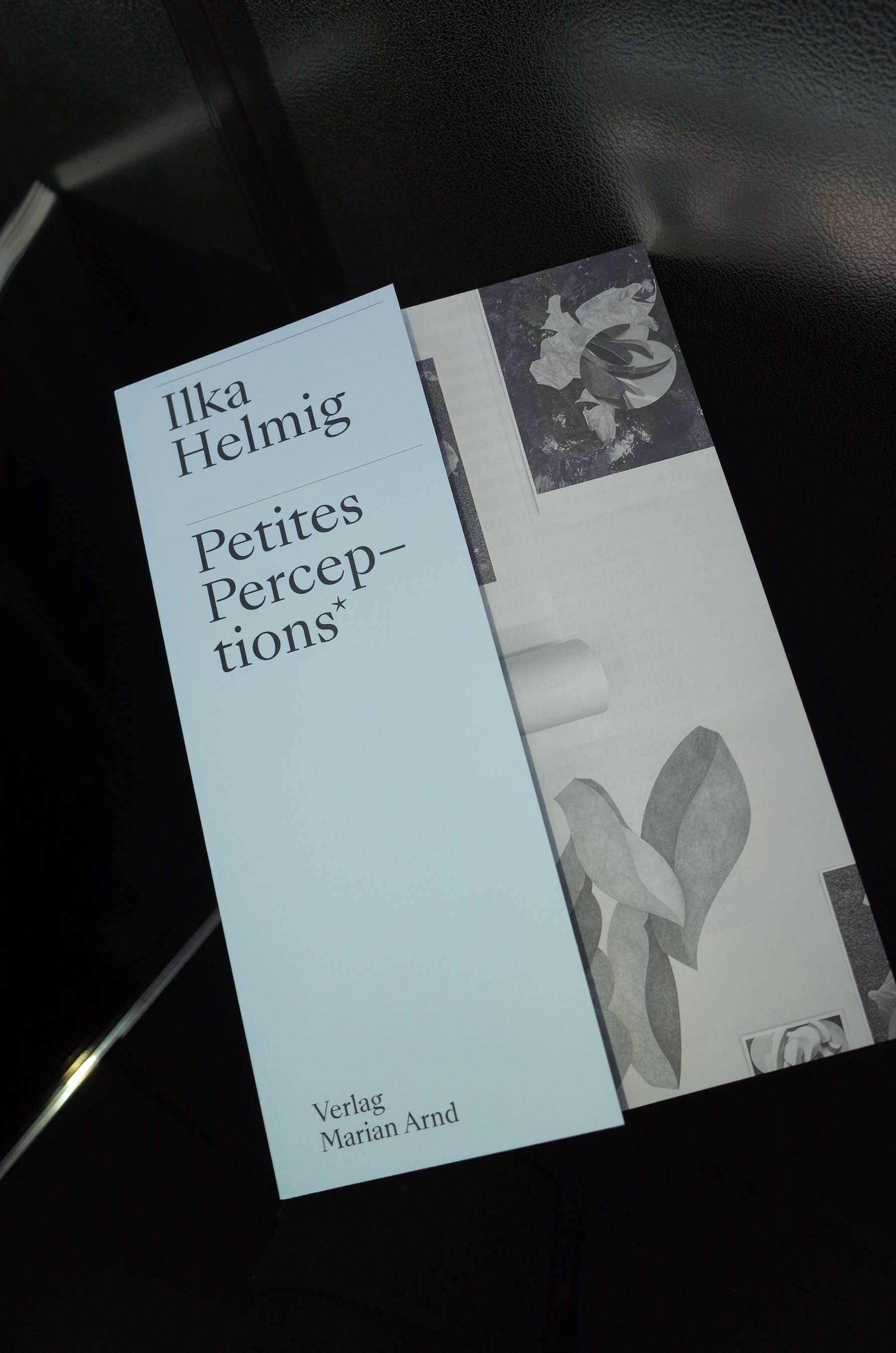 Publication with Ilka Helmig